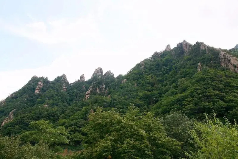 Yangyang Wink Pension