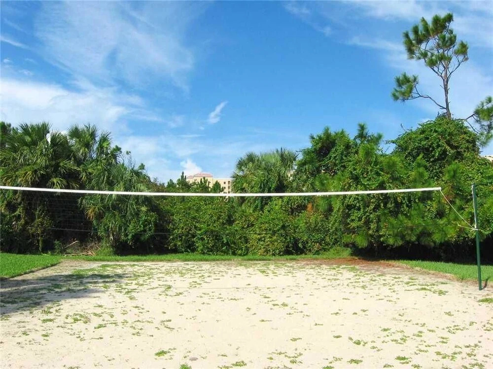 Surf Club II