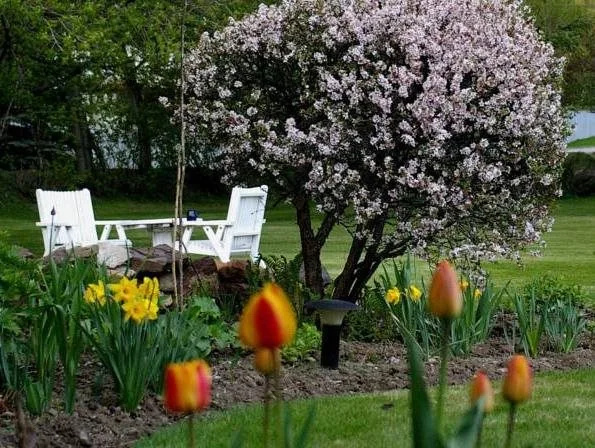 Windermere Lakeside B&B