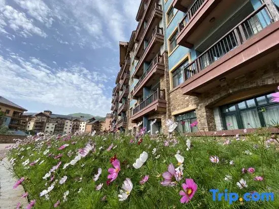 Ski and Suites at Thaiwoo Resort
