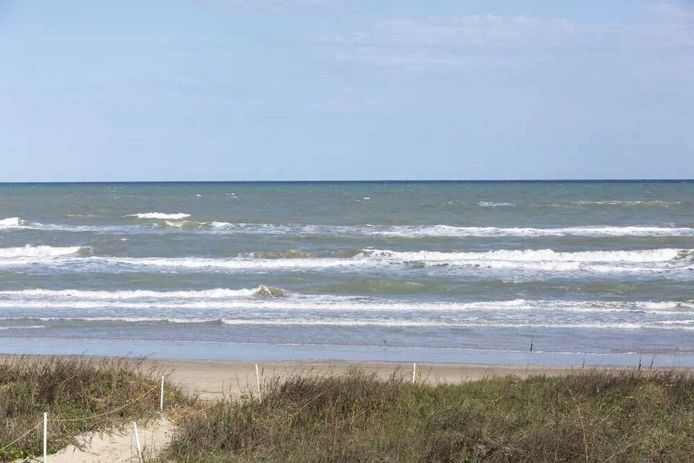 La International 206 by Padre Island Rentals