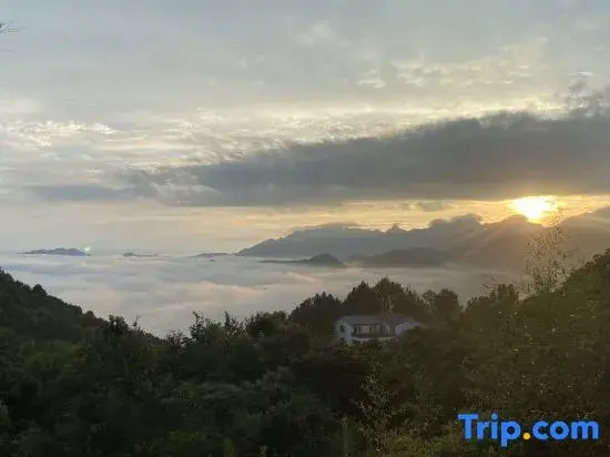 Blossom Hill Jiuhua Mountain Moshang Wujian