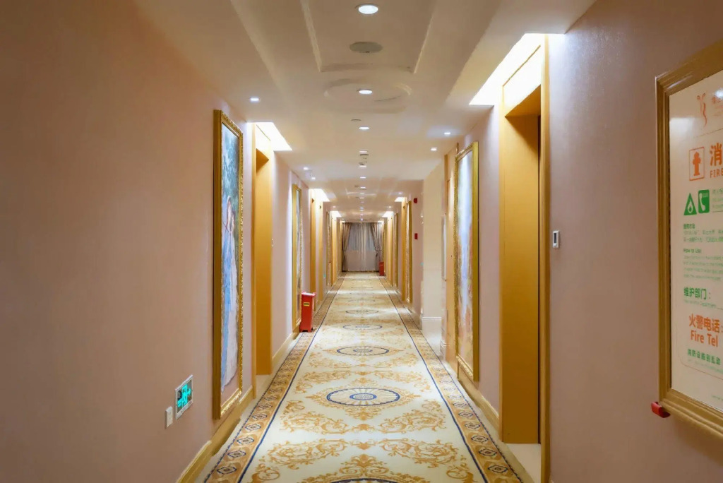 Vienna International Hotel (Changsha Xiangfu Road)