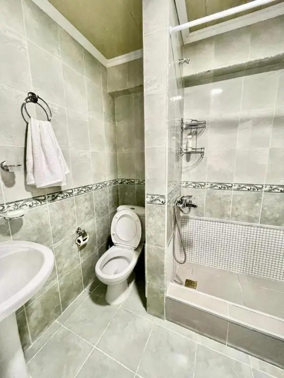 2 Bedroom Apartment on Chavchavadze Ave