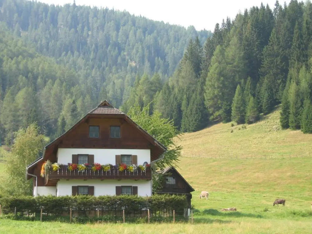 Almhaus Perfler