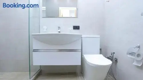 Cinema Moscow Abovyan Street Apartment