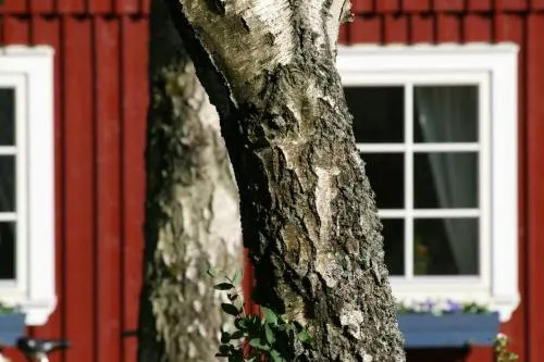Bergastugan i Skrea Bed & Breakfast