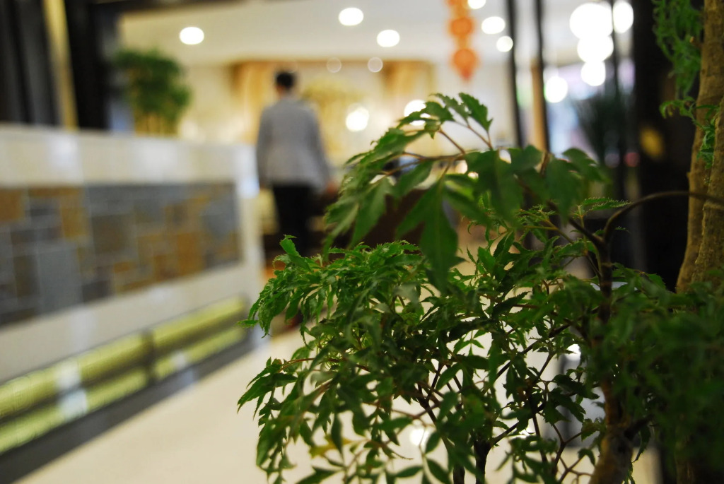Maple Hotel