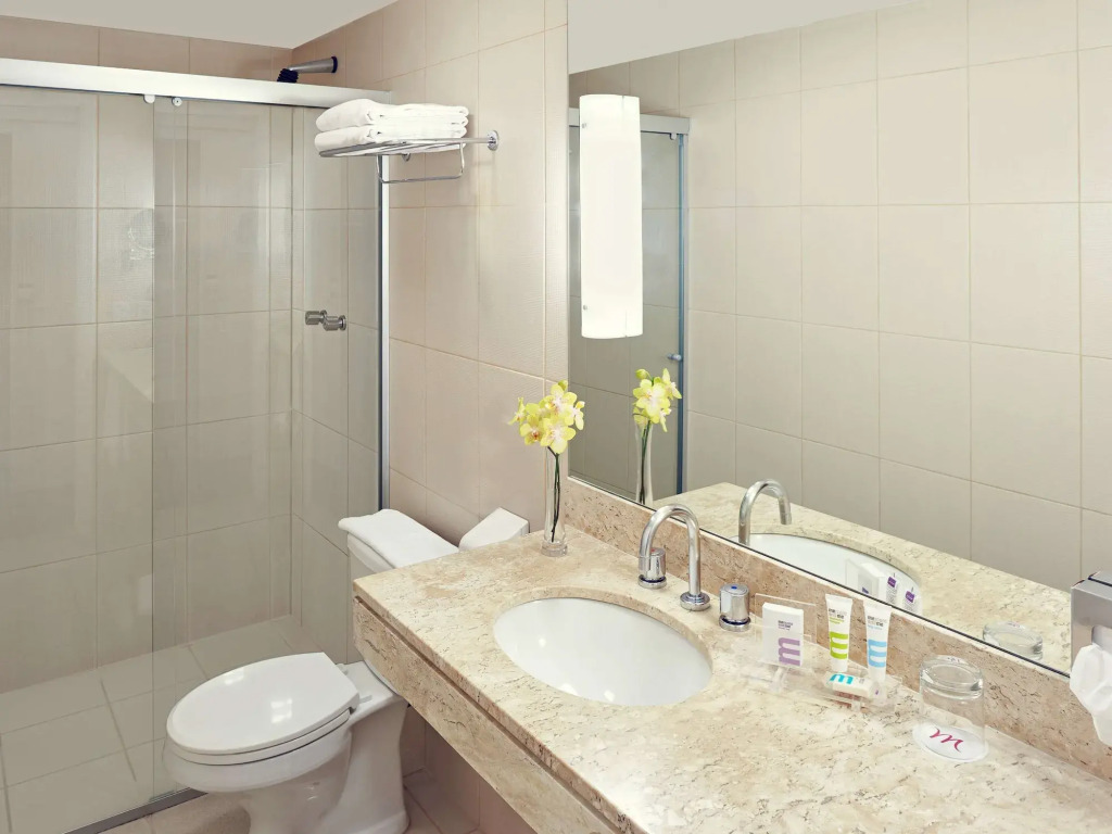 Mercure Sao Paulo Paulista