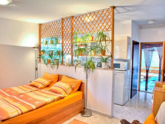 Studio Apartment Raspar