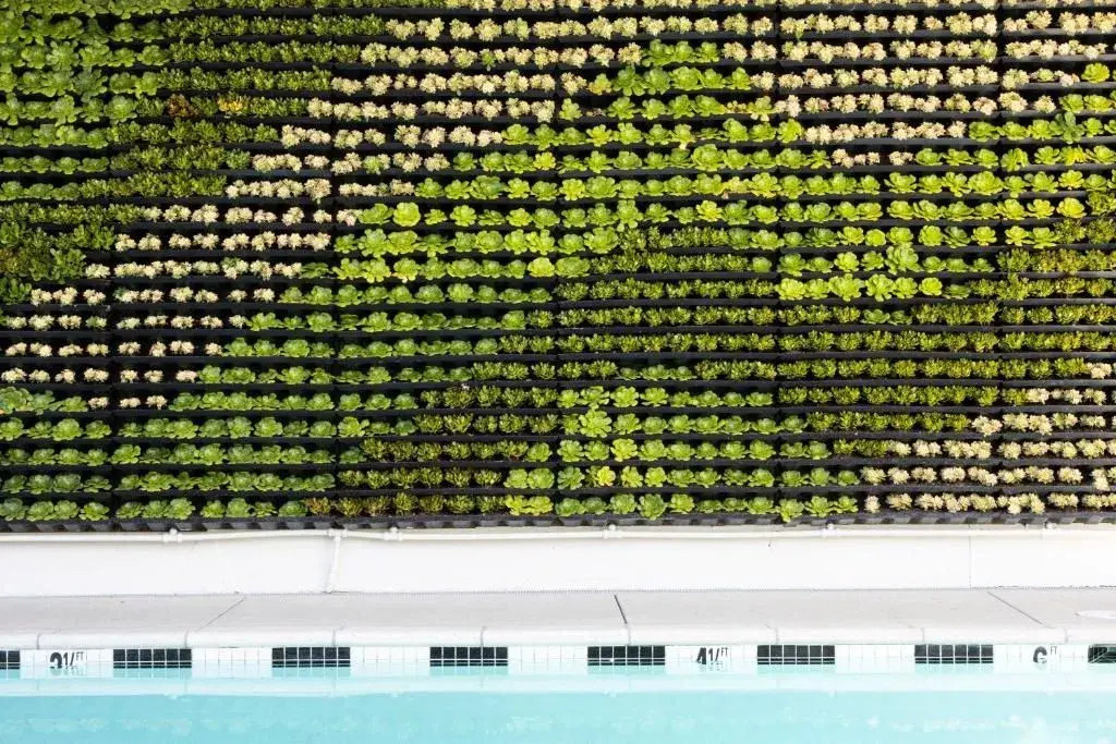 Short Stories Hotel Near The Grove