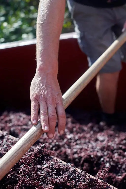 Domaine Gilles Copéret- Artisan-Vigneron- chambres dhôtes Les Glycines