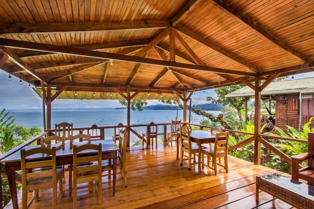 Cotingas Ocean View