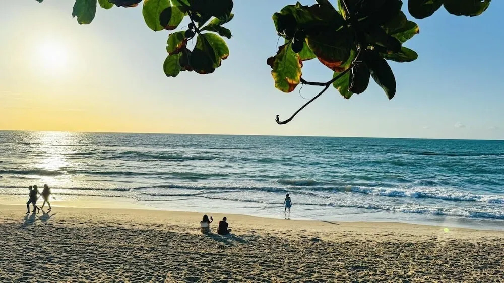 Mila Rooftop - Praia de Tamandaré