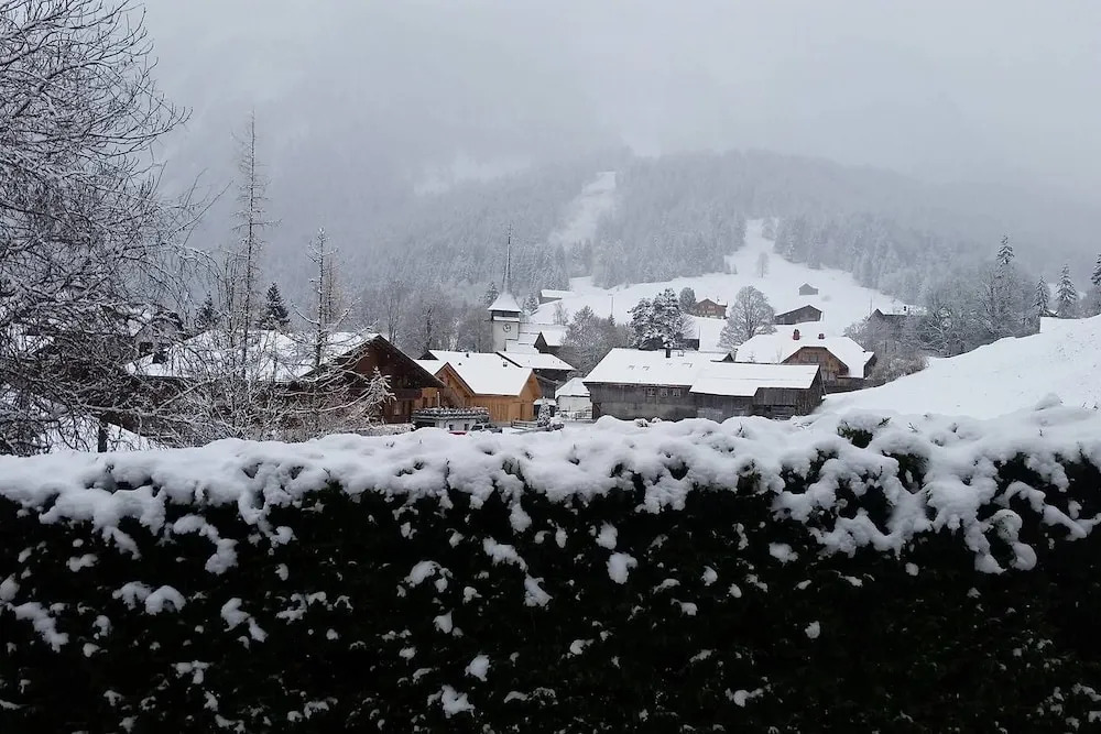 Cosy authentic Chalet in Gsteig