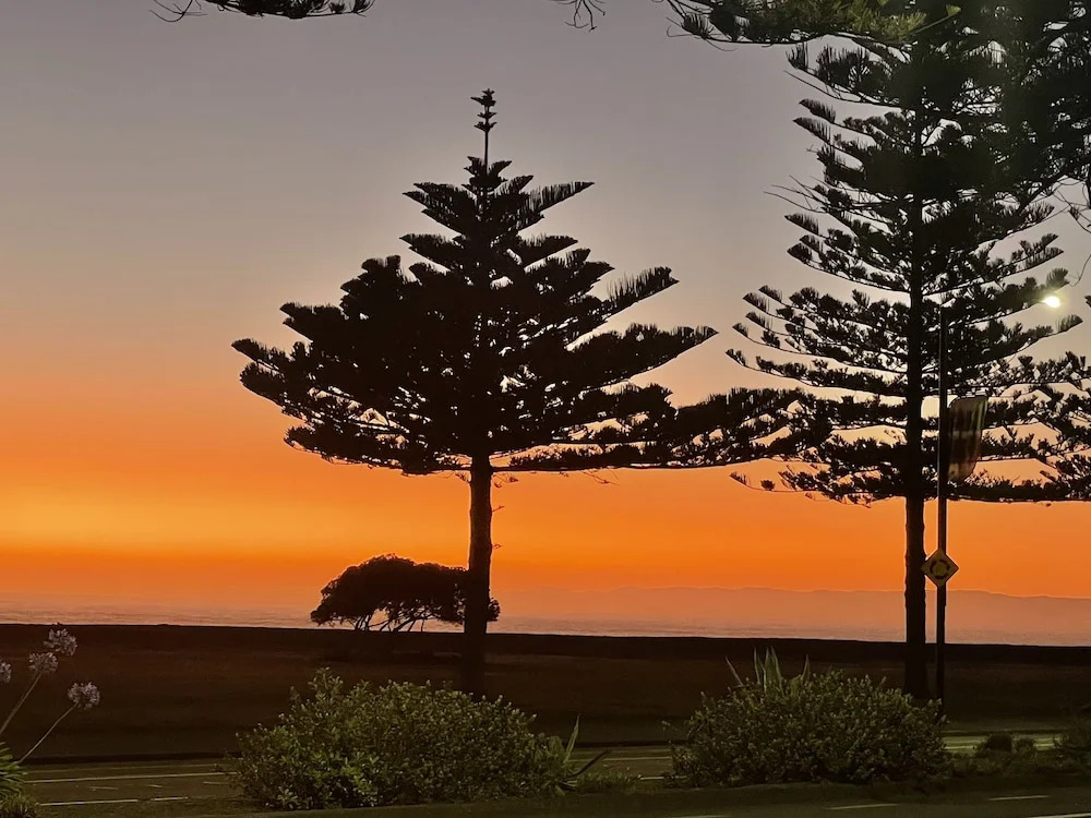 Beach Front Studio Napier