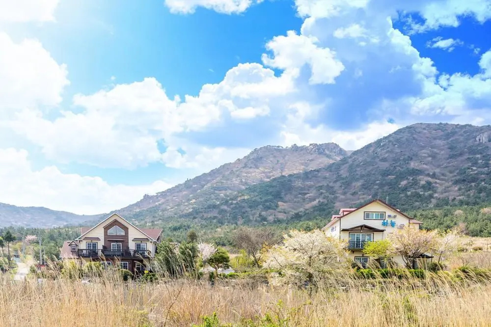 Sky Pension