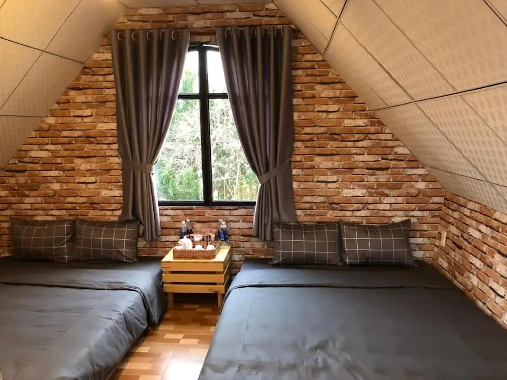 Pine Tree House Da Lat