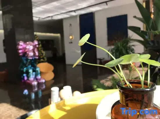 Xi Fali Hotel (Nanning East Railway Station Jinqiao Bus Station)