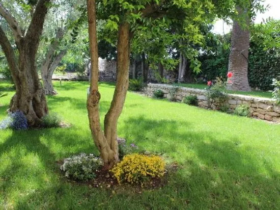 Appartamento Le Tre Palme