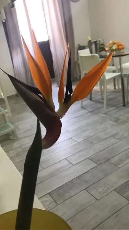 Apartment With One Bedroom In Catania With Wonderful City View Furnished Balcony And Wifi - 2 Km From The Beach