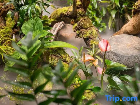 Shengsi wolfberry island mujumuyi Guesthouse
