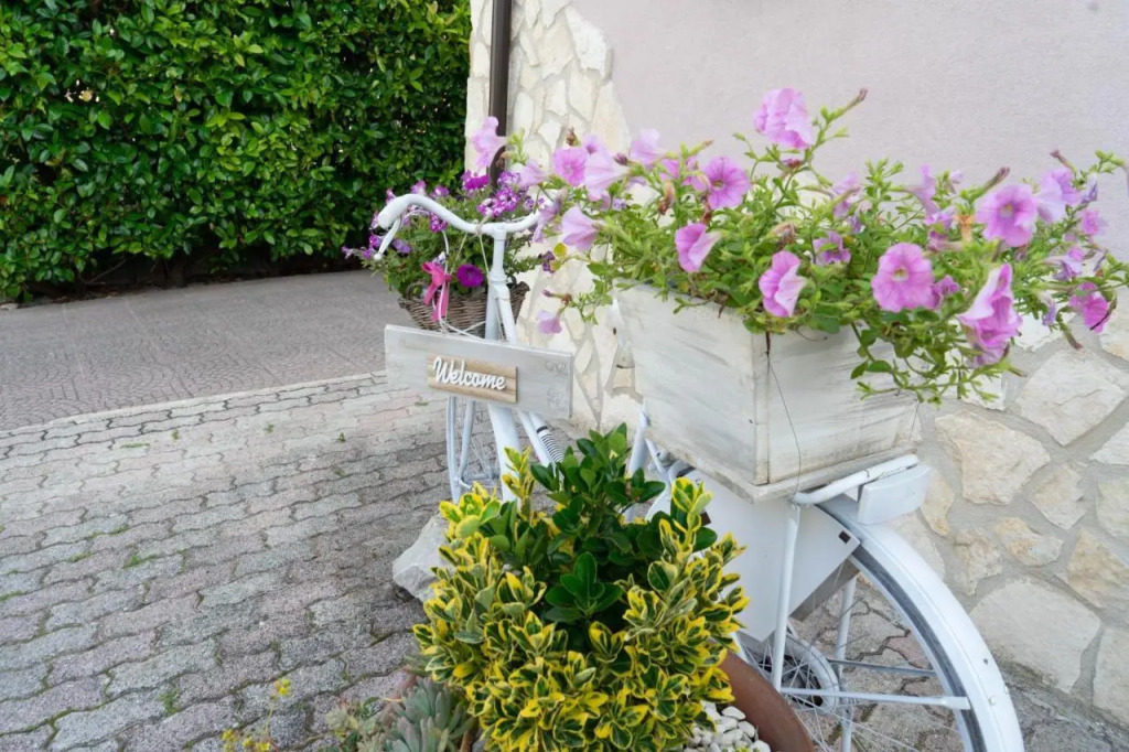 Bed & Breakfast Mafi