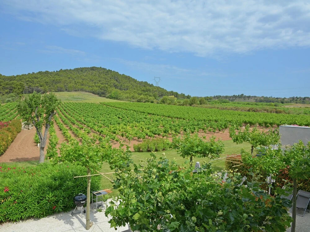 18th Century Farmhouse on a Domain of 1.2 ha With Vineyard, Private Swimming Pool, and Pool House