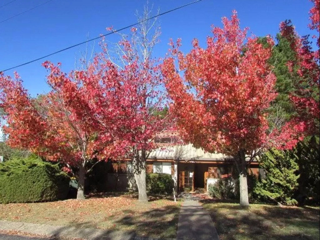 Whispering Pines 2