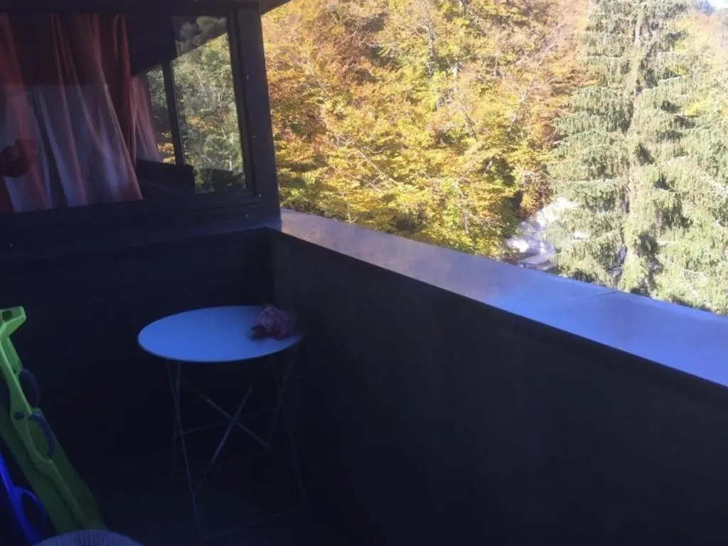 Appartement Mont-Dore, 2 pièces, 4 personnes - FR-1-415-39