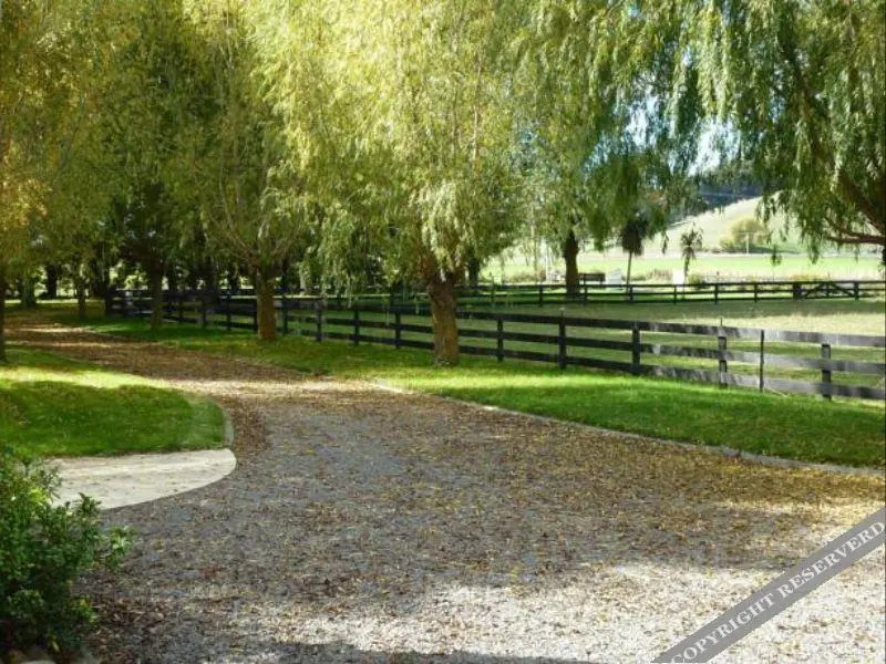 Willow Lodge B&B