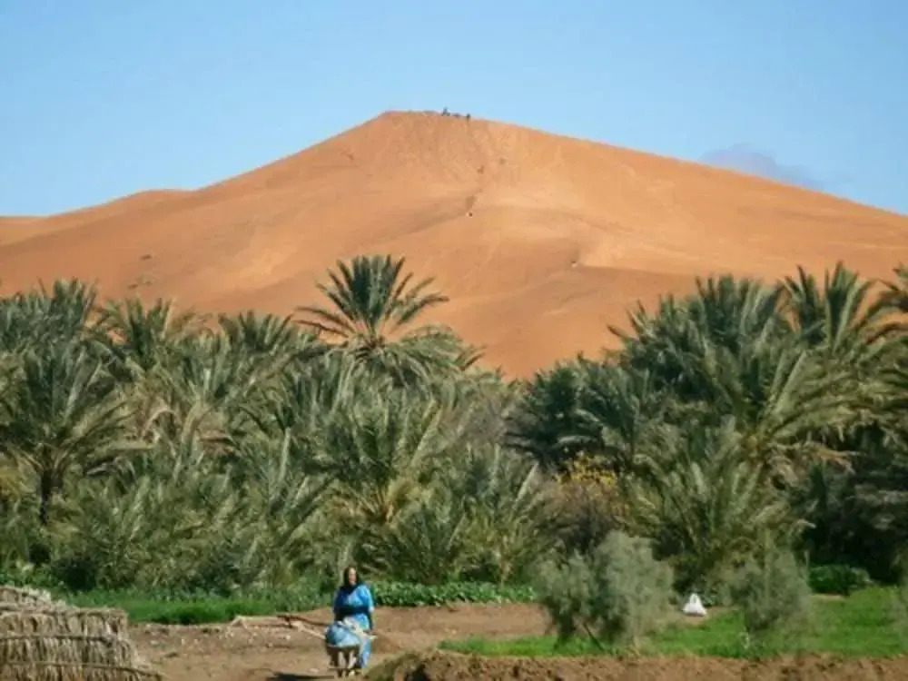 Riad Tadarte Merzouga Desert Tours