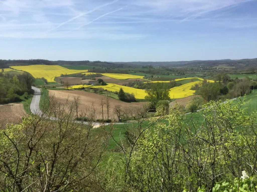 The Gite at No 1 Castelnau de Montmiral