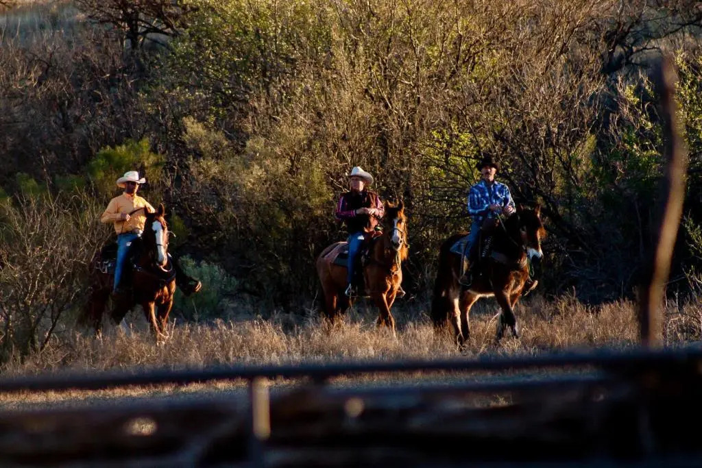 Rancho de la Osa Guest Ranch