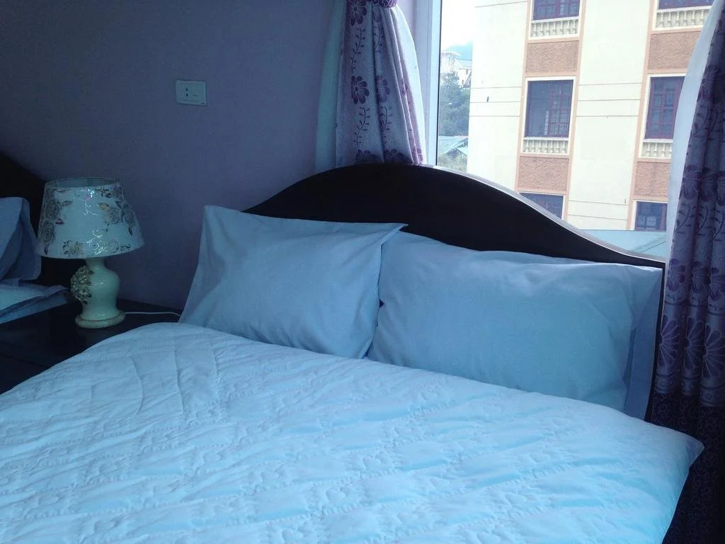 Orient Tam Đảo Hotel