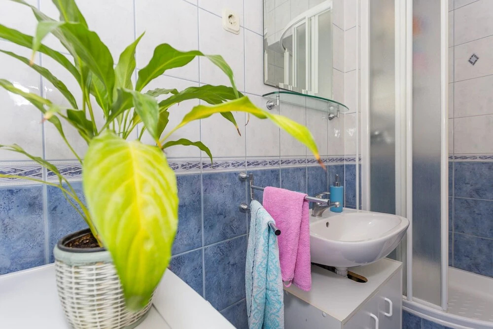 Apartment ASI