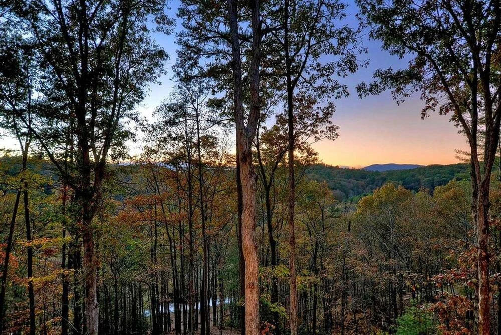 On the Fly by Escape to Blue Ridge