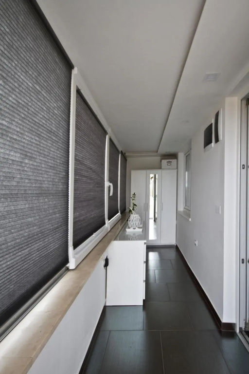 Apartment Little King