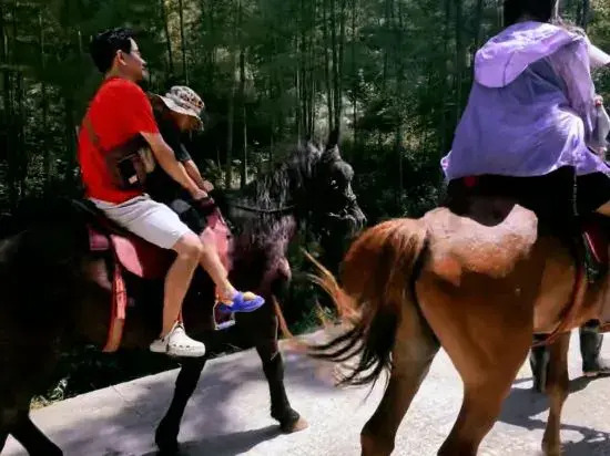 Xi Wei Homestay (Moon Bay Scenic Area Branch)