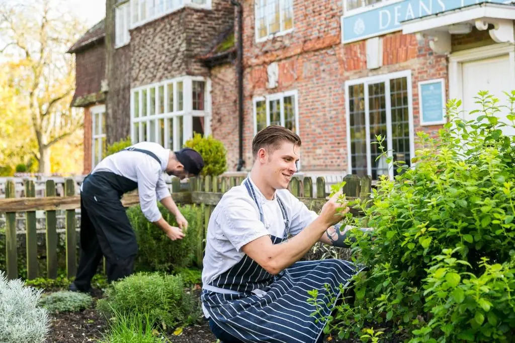 The Alfriston