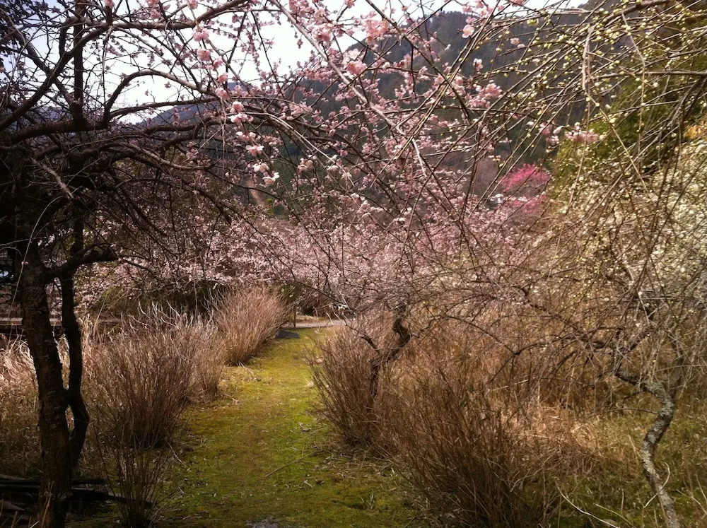 Misugi Resort Hotel Annex
