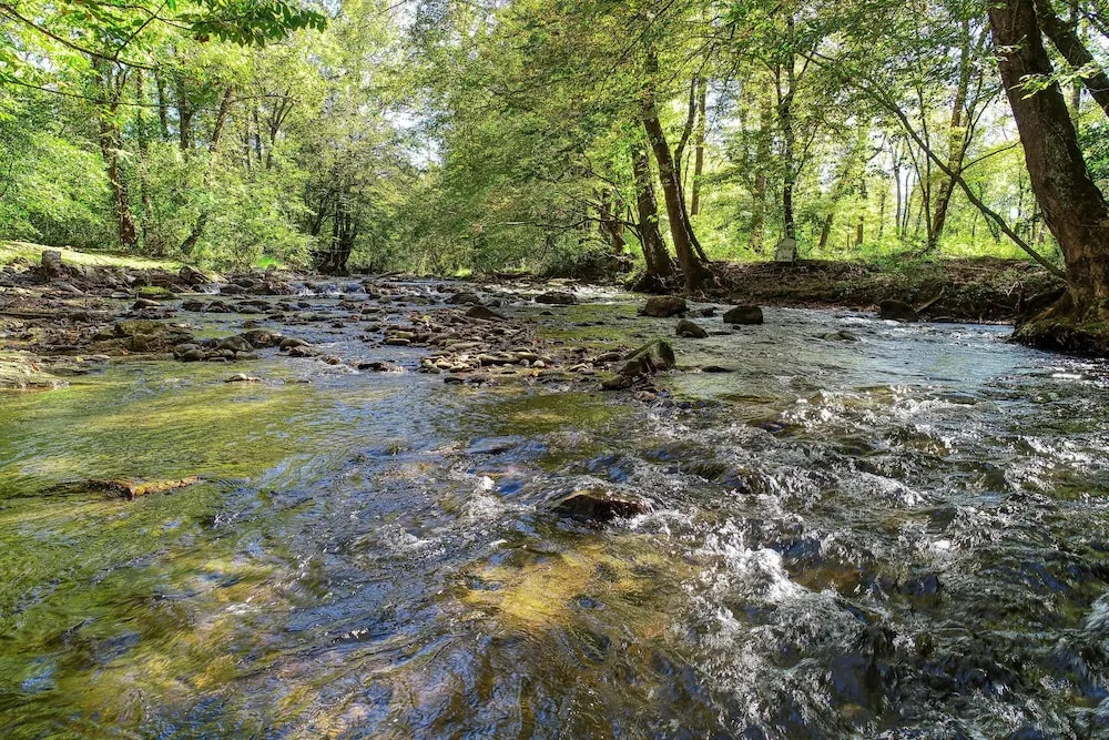 Wandering Creek - 2 Bedrooms, 1 Baths, Sleeps 6 Cabin by RedAwning