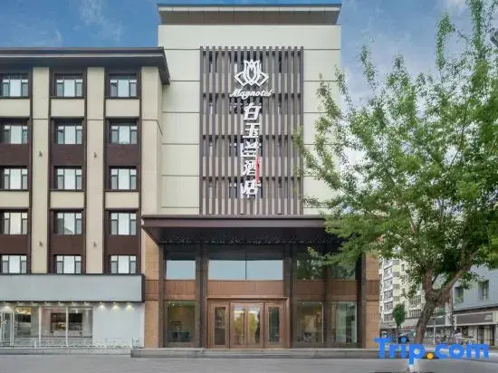 Magnotel Magnolia Hotel (Jiamusi Railway Station New Mart)