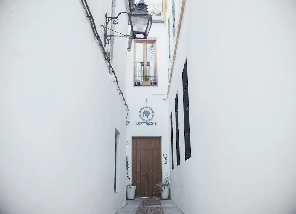 Lofts Trigo 13