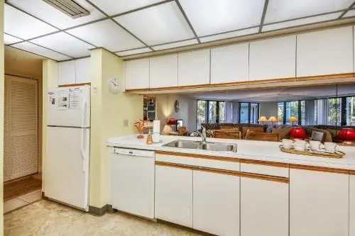Papaya Place Condo