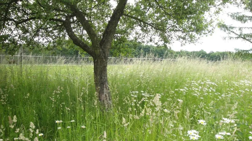 Ferienhof Olbasee