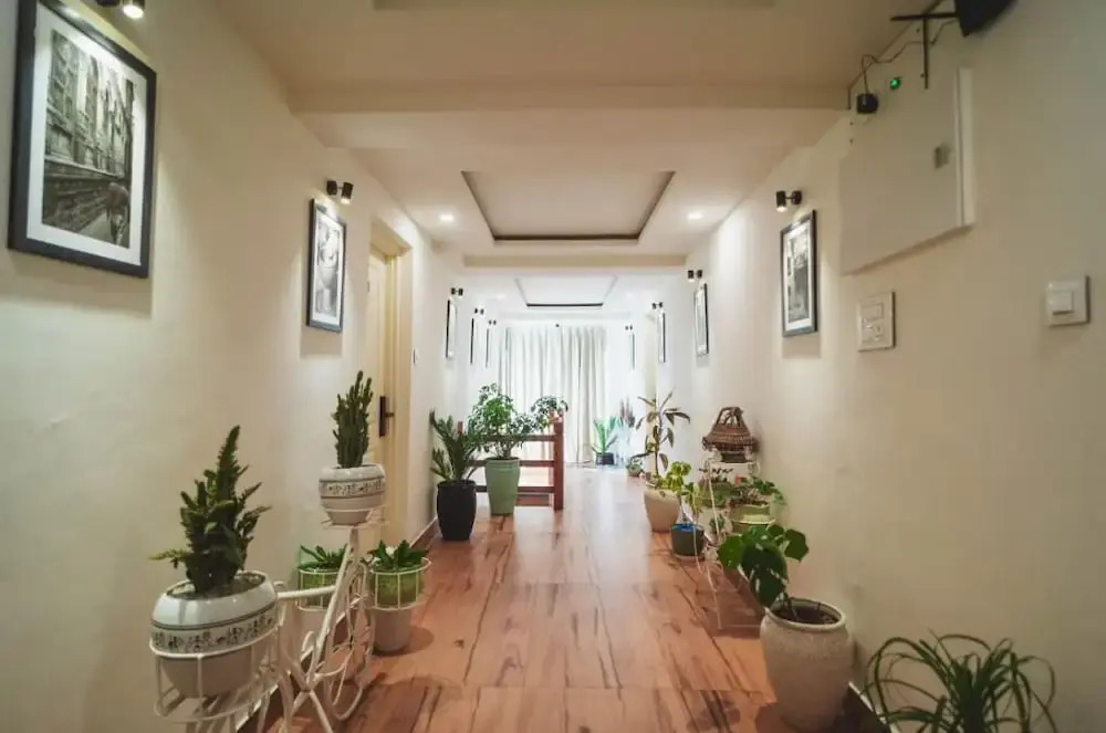 Dojee's Cottages