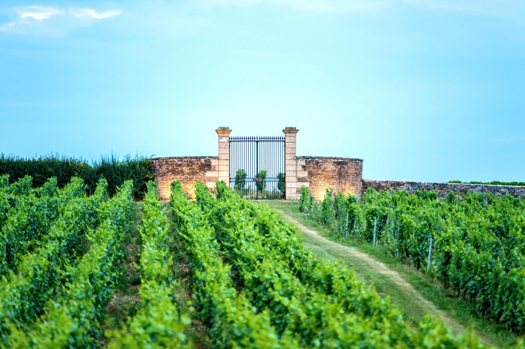 Teritoria Château de Besseuil