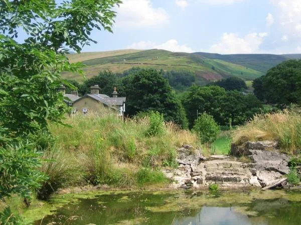 The Wind in the Willows Country House Hotel
