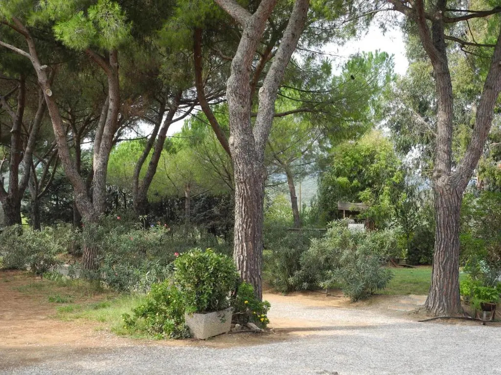 PODERE OSLAVIA AZ.AGR.BIO GIANNINI